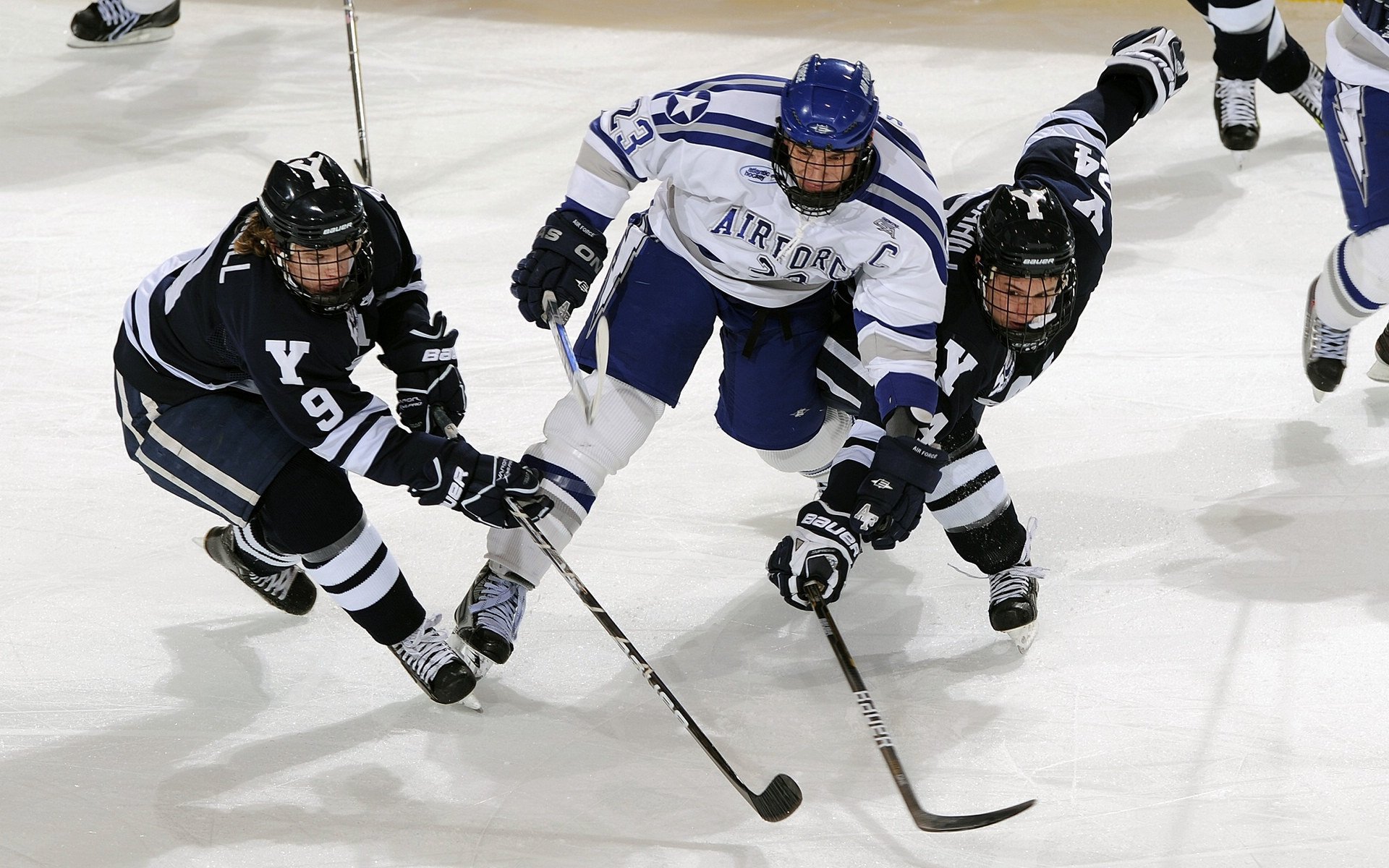 KPL新版本适应分析，kpl更新时间